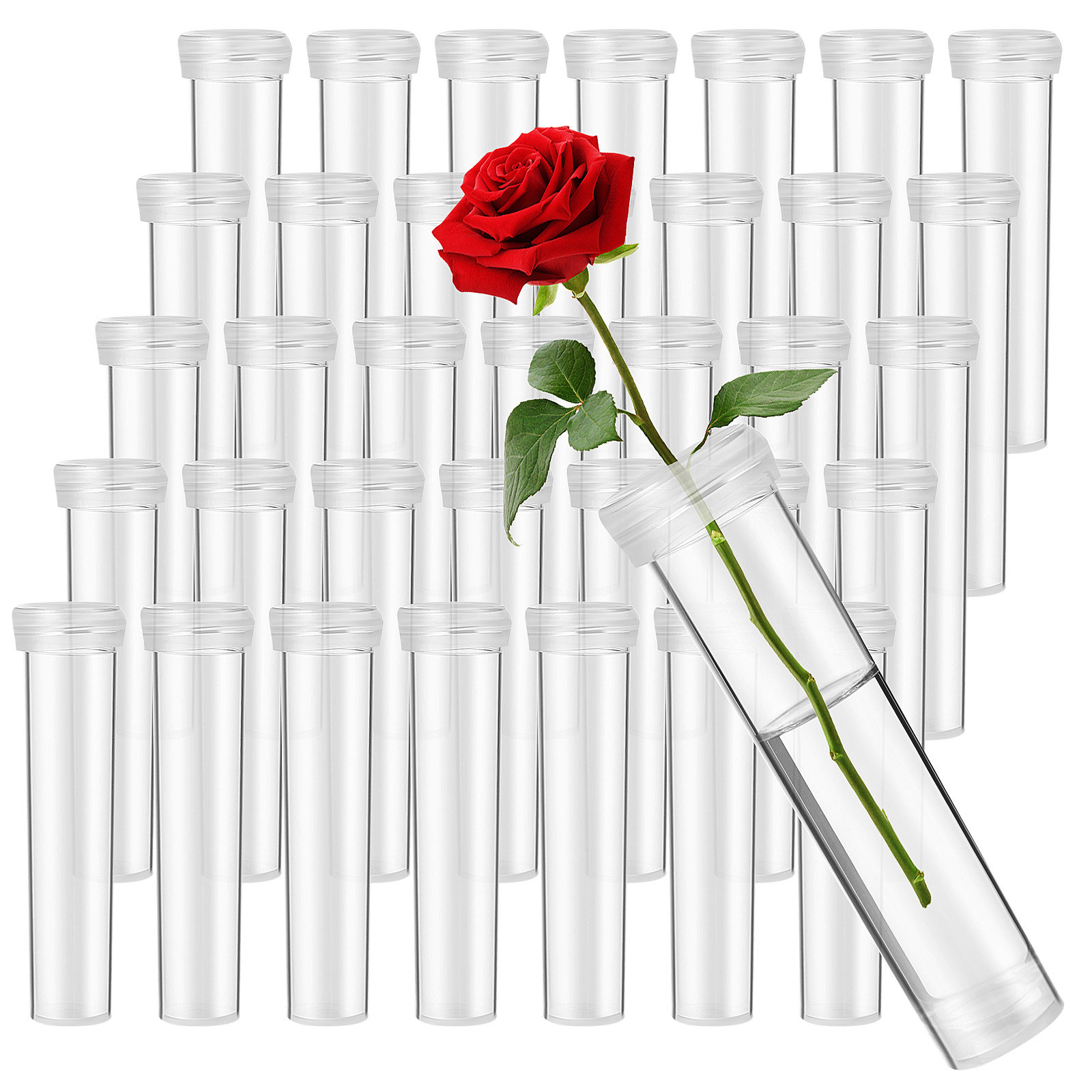 100Pcs Flower Water Tubes Fres - Supply For Florist review and price